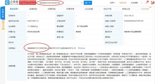 软件外包服务 助力企业实现数字化转型与成本优化